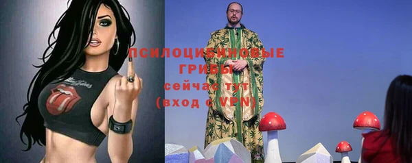 прущая мука Каменка