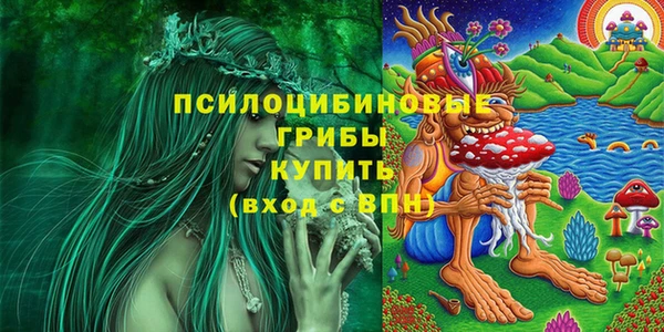 каннабис Каменногорск