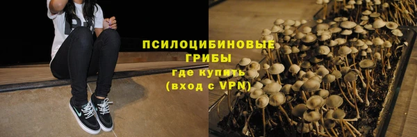 прущая мука Каменка